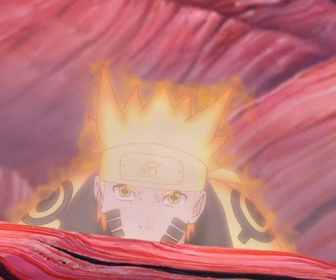 Replay Naruto Shippuden - S19 E12 - Sentiments liés