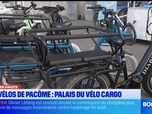 Replay Les longs formats des Locales - Vies d'en Hauts - Ils font le choix de travailler à vélo