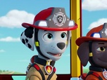 Replay Paw Patrol, la Pat'Patrouille - Mission Pompiers : L'anniversaire de Bonnie