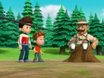 Replay Paw Patrol, la Pat'Patrouille - Surprise