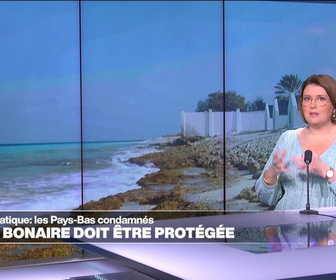 Replay Élément Terre, la quotidienne - Justice climatique: les Pays-Bas doivent protéger leur île de Bonaire dans les Caraïbes