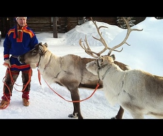 Replay Première neige en Laponie : le village du Père Noël en liesse