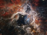 Replay Astronomie : voyage vers les étoiles ! - Le télescope James Webb : les premières découvertes