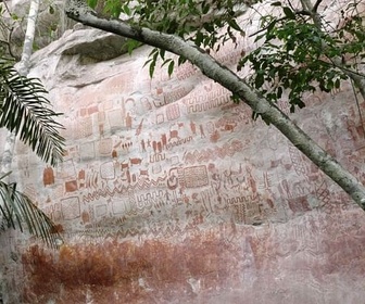 Replay Archéologie - Les secrets des fresques d'Amazonie