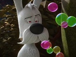 Replay Idéfix et les Irréductibles - Défis à tout prix