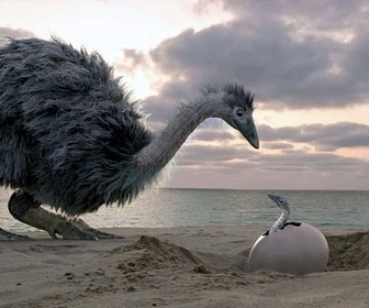 Replay Le mystère des oiseaux géants