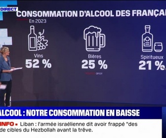 Replay Est-ce vrai que la consommation d'alcool est en baisse? BFMTV répond à vos questions