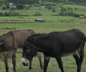 Replay Le Mag de la santé - 30/01/2026