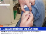 Replay BFM Première prématinale - C'est votre vie - 09/10