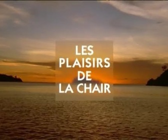 Replay Histoire de l'alimentation - Les plaisirs de la chair