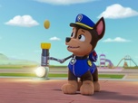 Replay Paw Patrol, la Pat'Patrouille - Coup de théâtre !