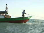 Replay C pas si loin - Guyane : pêche en eaux troubles
