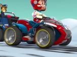 Replay Paw Patrol, la Pat'Patrouille - Danny et l'ours