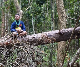 Replay Philippines, sauver la forêt au péril de sa vie