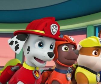 Replay Paw Patrol, la Pat'Patrouille - Le nid d'abeille