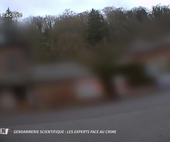 Replay Nos héros du quotidien - Gendarmerie scientifique : les experts face au crime