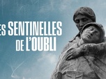 Replay Les sentinelles de l'oubli