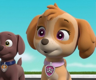 Replay Paw Patrol, la Pat'Patrouille - Le concours de sculpture sur sable