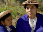 Replay Le sud-ouest du pays - Colombie