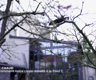 Replay C Jamy - Hiver, pourquoi fait-il froid ?