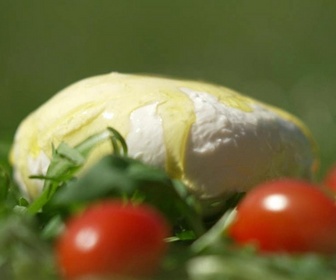 Replay e=m6 - Tomates, mozzarella, vinaigrette : les 3 incontournables de nos salades d'été !