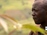 Replay Focus - RD Congo : en Ituri, la vie en sursis