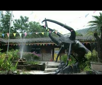 Replay Histoires d'îles - Penang