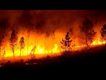 Replay La pire saison des incendies de forêt depuis des décennies brûle plus de 340 000 hectares en Espagne