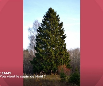 Replay C Jamy - Pourquoi fête-on Noël ?