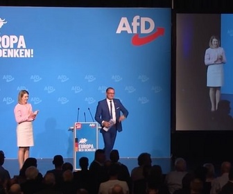 Replay Campagne électorale européenne : l'AfD sans tête de liste