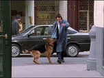 Replay Rex, chien flic - Apportez-moi la tête de Beethoven