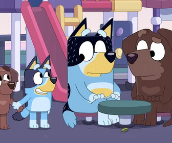 Replay Bluey - 24/10/2025