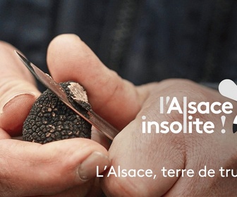 Replay L'Alsace insolite - L'Alsace, terre de truffes