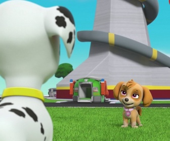 Replay Paw Patrol, la Pat'Patrouille - François et le bébé gorfou