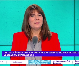 Replay Estelle Midi - Un train écrase un chat pour ne pas arriver trop en retard : logique ou scandaleux ?