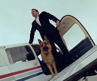 Replay Rex, chien flic - Mauvaises actions