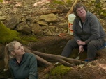 Replay Le mystère d'Oak Island : la course au trésor - S10E11 - Le blob