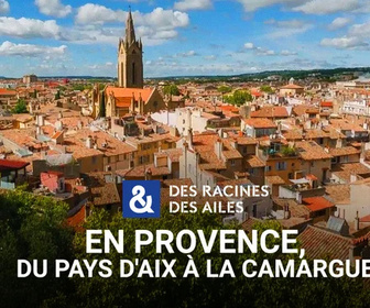 Replay Des Racines et Des Ailes