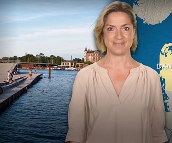 Replay Danemark : leader d'une Europe verte ? - Le dessous des cartes - L'essentiel