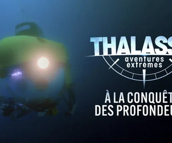 Replay Thalassa, aventures extrêmes - 02/02/2026