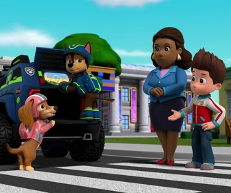 Replay Paw Patrol, la Pat'Patrouille - Un ours dans la ville