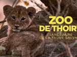 Replay Zoo de Thoiry : sanctuaire de la faune sauvage