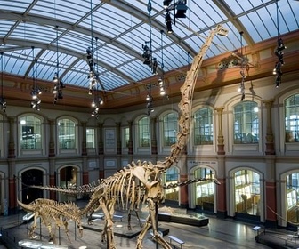 Replay À la recherche des monstres de la Préhistoire - Les chasseurs de dinosaures