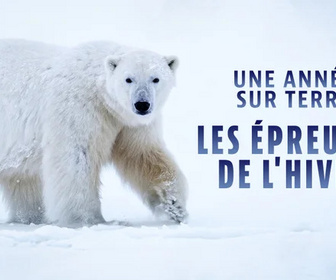 Une année sur terre replay