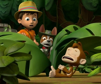 Replay Paw Patrol, la Pat'Patrouille - Attention, boules puantes !