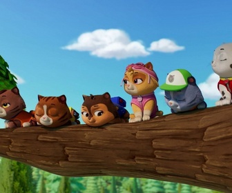 Replay Paw Patrol, la Pat'Patrouille - Mission Pompiers : Les guim-o-choco de M. Hellinger