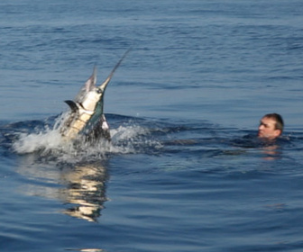 Replay Pêche XXL - S1E9 - Combat à mains nues