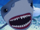 Replay Oum le dauphin blanc - S03 E51 - Le Requin Blanc - Partie 1
