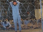 Replay Focus - Israël : des soupçons de torture dans la prison militaire de Sdei Teiman