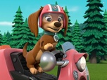 Replay Paw Patrol, la Pat'Patrouille - Un ours dans la ville